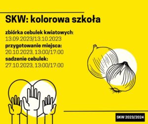 Kolorowa szkoła