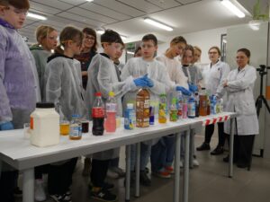 Warsztaty chemiczne pt. „Cukier krzepi”