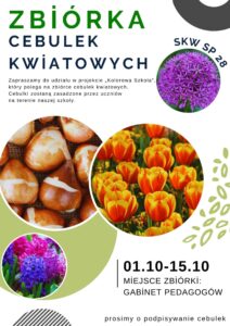 Projekt „Kolorowa Szkoła”