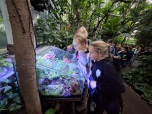 W Palmiarni Poznańskiej